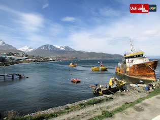 14:29 hs. Dos Olivias bajo el sol, el monte a la izquierda y el pesquero a la derecha