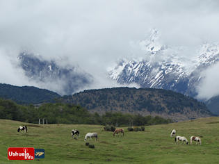 14:41 hs. Día de temperatura agradable en Ushuaia 