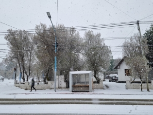15:47 hs. ¡Volvió la nieve a Ushuaia!