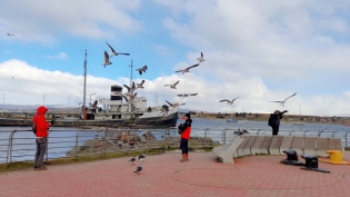 Un Instante en Ushuaia