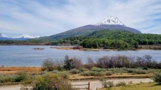 13:31 hs. Postal del Cerro Condor en el Parque Nacional Tierra del Fuego