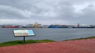 17:30 hs. Un pesquero y tres cruceros en el puerto