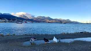 Un Instante en Ushuaia