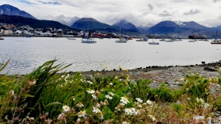 09:59 hs.Ushuaia y sus veleros
