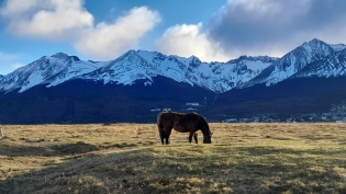 Un Instante en Ushuaia