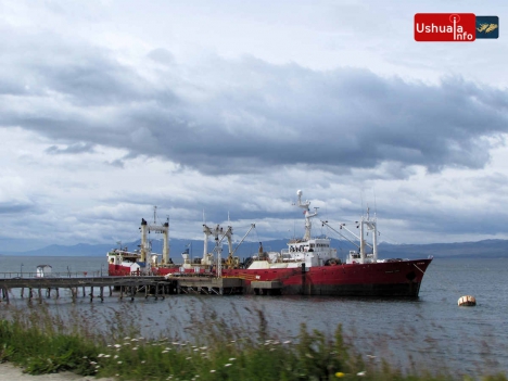 Gobierno levantó la suspensión al buque Echizen Marú