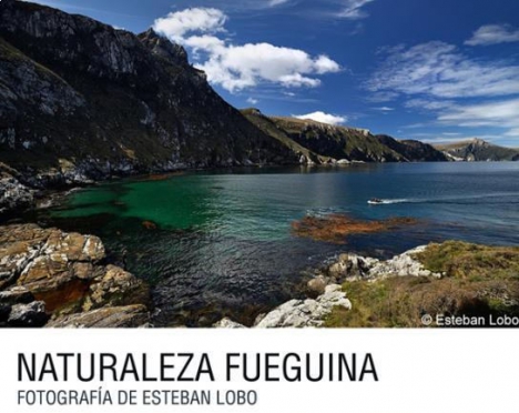 Hasta el 30 de Mayo se podrá visitar la muestra Naturaleza Fueguina