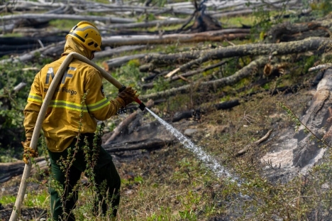 Incendio en el Corazón de la Isla: estiman en 6500 las hectáreas afectadas