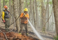 El incendio forestal se encuentra contenido, se trabaja en los puntos calientes