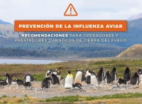 Publican recomendaciones para prevenir la Gripe / Influenza Aviar