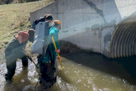 UNTDF: identifican una especie de pez de agua dulce en Tierra del Fuego